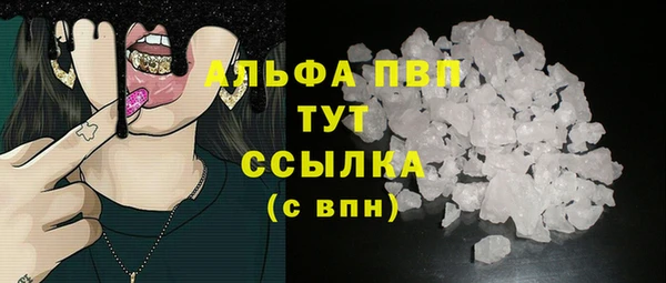 прущий лед Алзамай