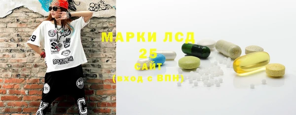 прущий лед Алзамай