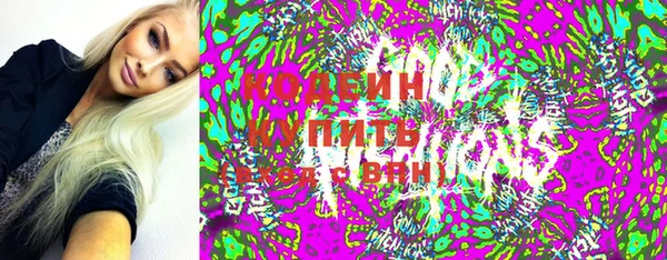 прущий лед Алзамай