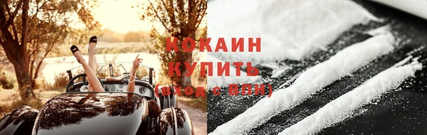 прущий лед Алзамай