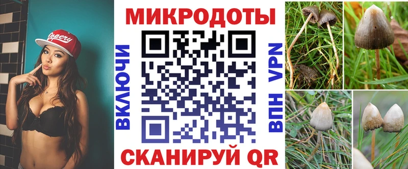 купить наркотики цена  Дальнереченск  Галлюциногенные грибы мицелий 